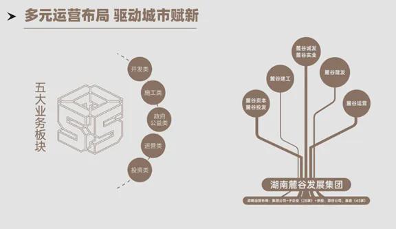 刚改置业风口！大梅溪双地铁口品质红盘首付10W起！火速冲！leyu.体育(中国)(图9)