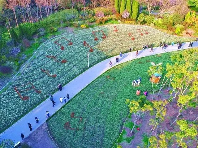 上海十大跑步圣地：夏天来了健康和美景我都要！leyu.体育(中国)官方网站(图2)